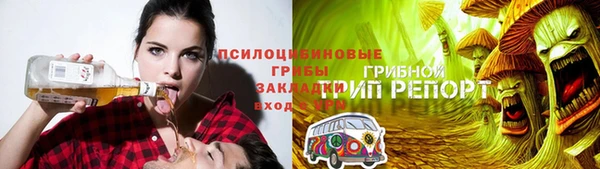 гашик Михайловск
