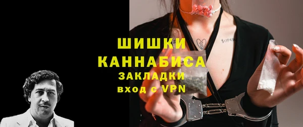 гашик Михайловск