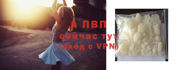 гашик Михайловск
